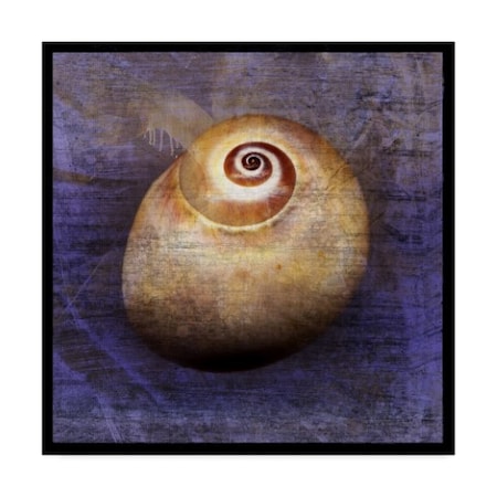 John W. Golden 'Shark Eye Purple' Canvas Art,14x14